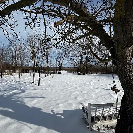 Nyaraló Vályog Kuckó Somogyszentpal